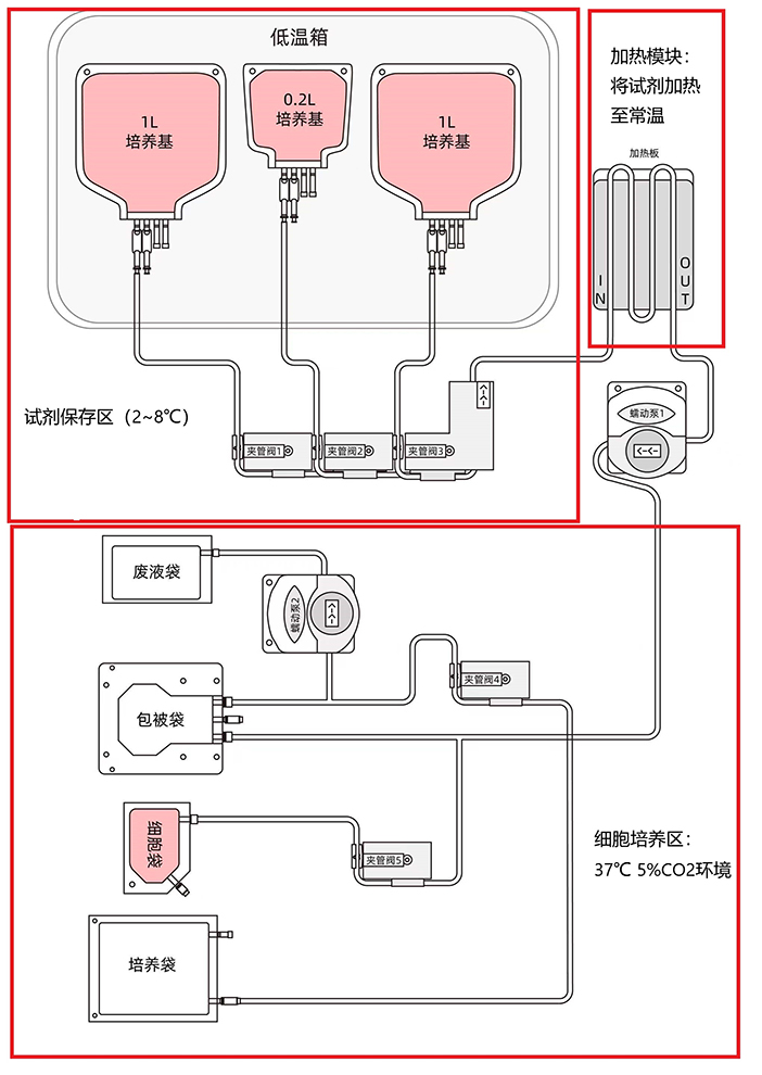 工作站培养流程（官）.jpg