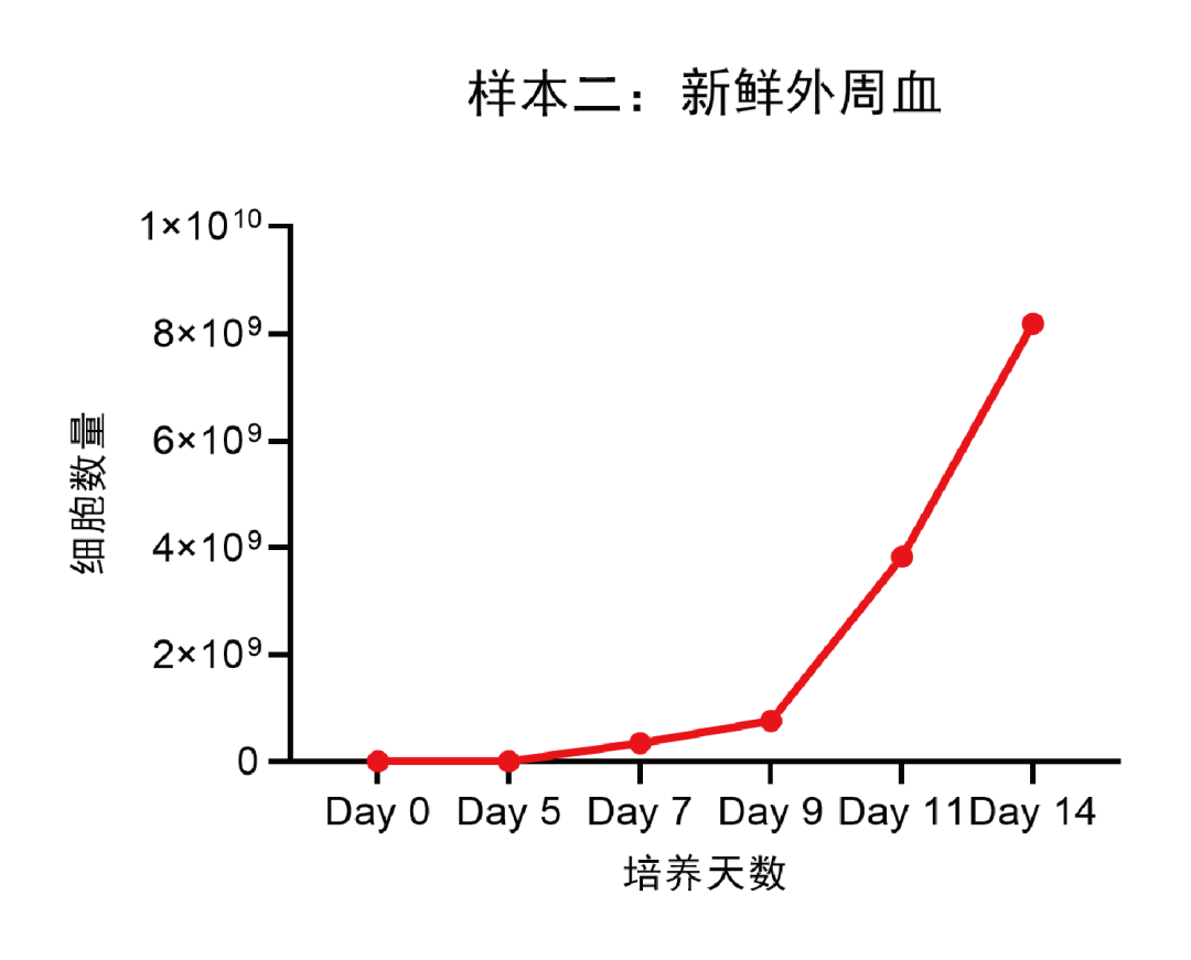 样本二：新鲜外周血.png