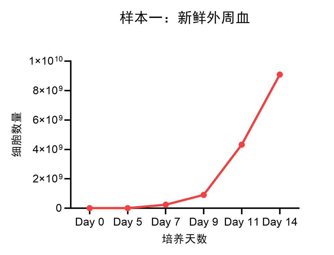 官网样本一：新鲜外周血.png