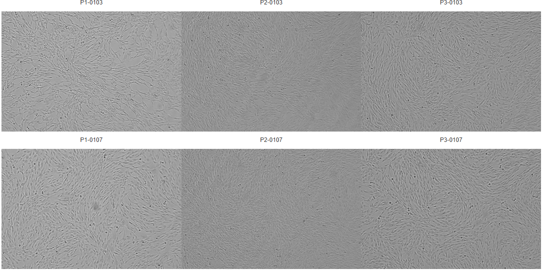 86f525a19fc66f7cdbb8e4856fb61334.png