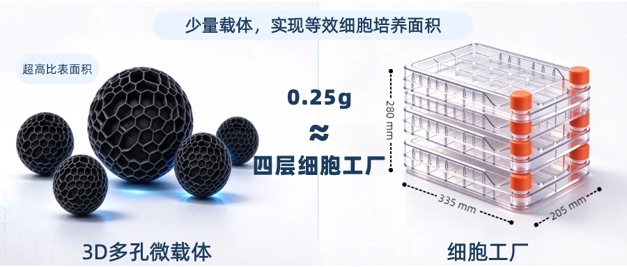 微载体插图.png